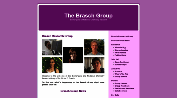 brasch-group.com