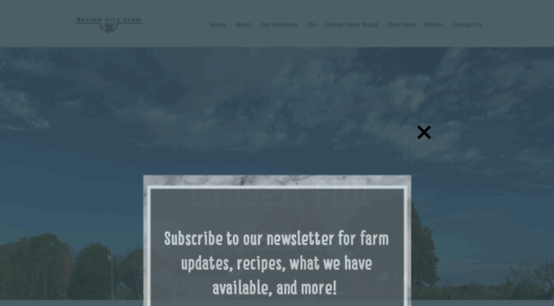 brasenhillfarm.com