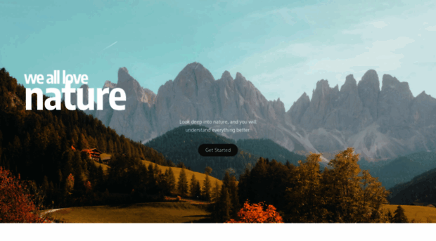 brasiloficialsite.com