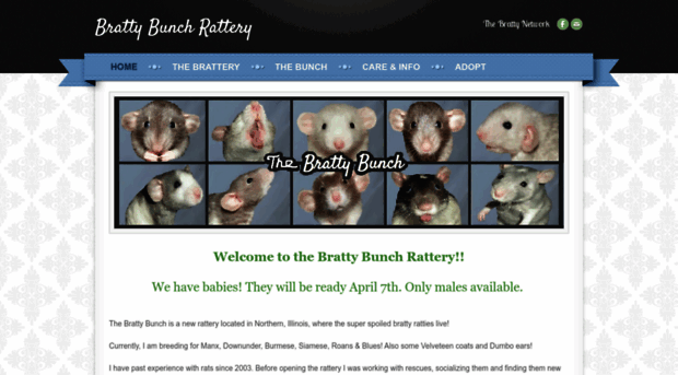 brattybunch.com