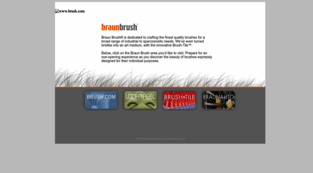 braunbrush.com