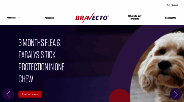 bravecto.com.au