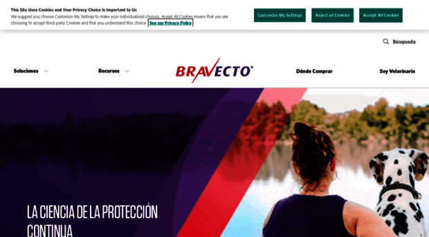 bravecto.com.mx