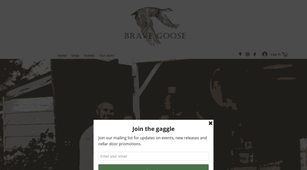 bravegoosevineyard.com.au