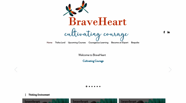 braveheartlife.co.za