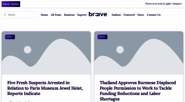 bravenetworknetwork.nl