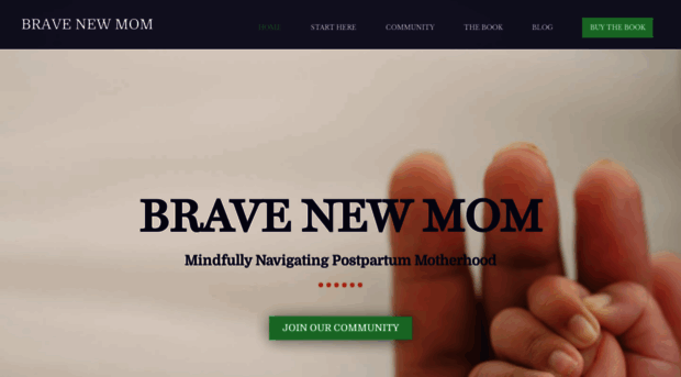 bravenewmom.org