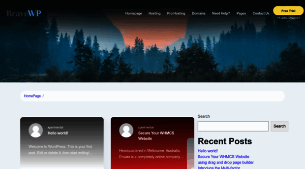 bravewp.com