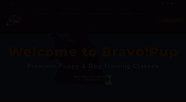 bravopup.com