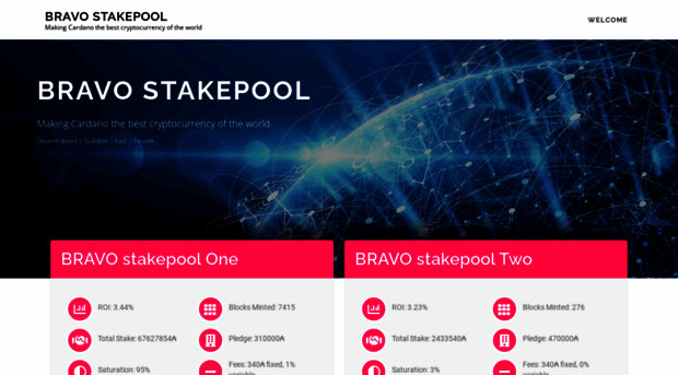 bravostakepool.nl