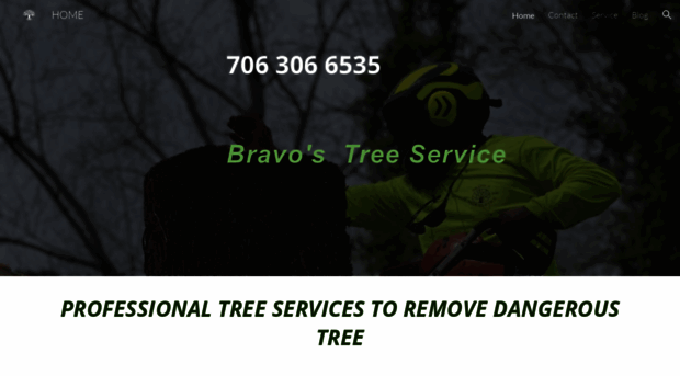 bravostreeservice.com