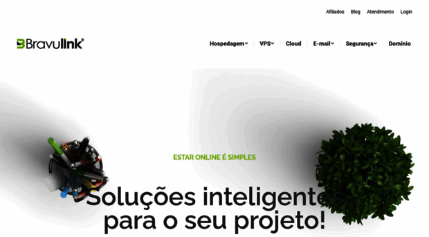 bravunet.com