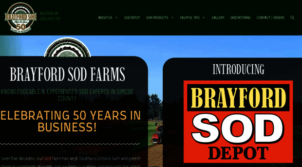 brayfordsod.com