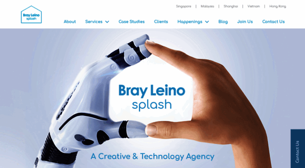 brayleinosplash.com