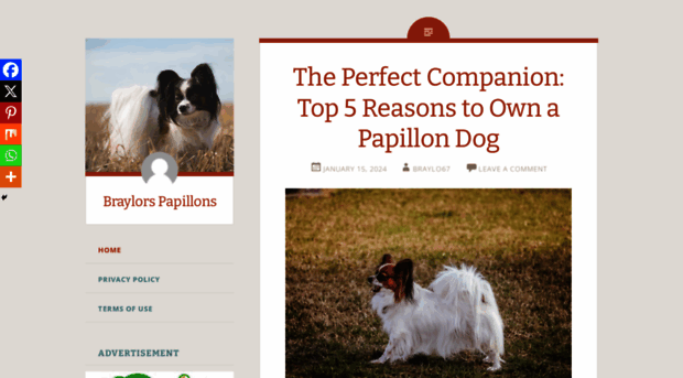 braylorspapillons.com