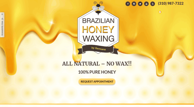 brazilianhoneywaxing.com