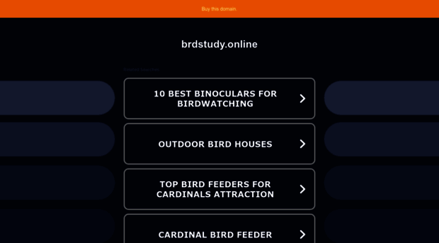 brdstudy.online