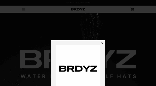 brdyz.com