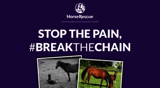 breakthechain.horseworld.org.uk