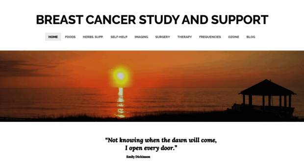 breastcancerstudyandsupport.org