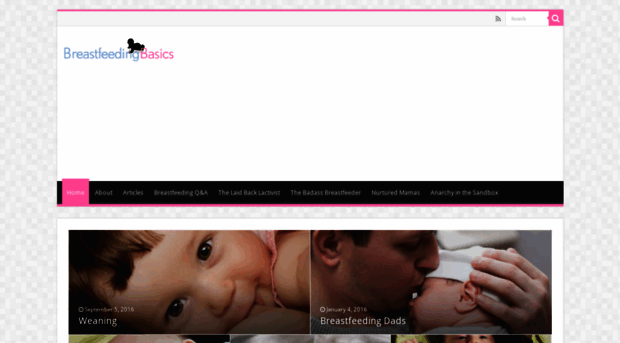 breastfeeding-basics.com