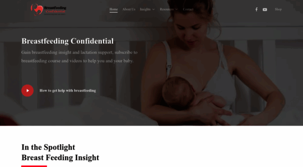 breastfeedingconfidential.com