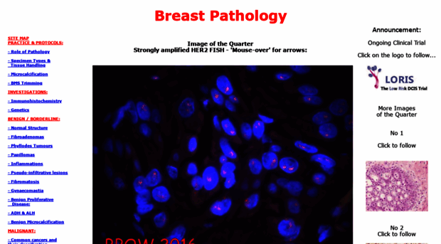 breastpathology.info