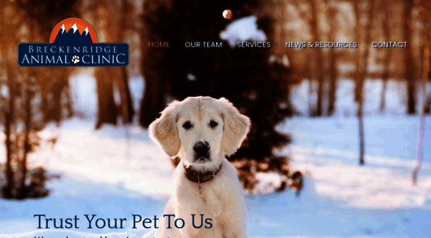 breckenridgeanimalclinic.com