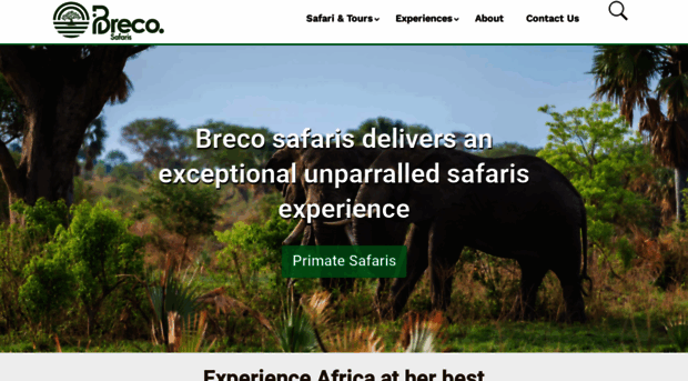 brecosafaris.com