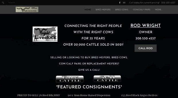 bredcowswrightlivestock.com