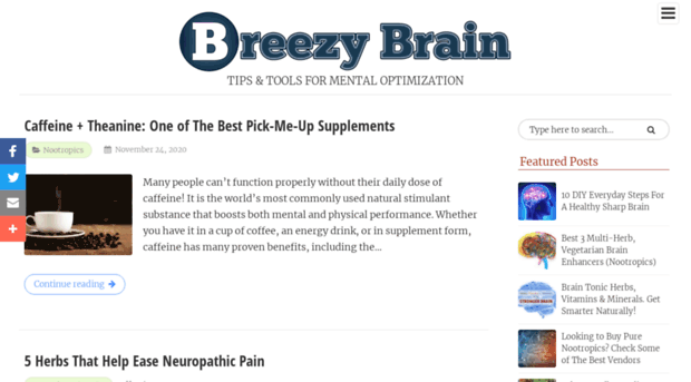 breezybrain.com