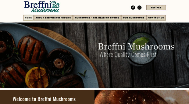 breffnimushrooms.com