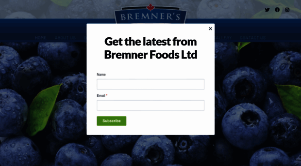 bremnerfoods.com