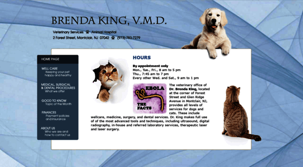 brendakingvet.com