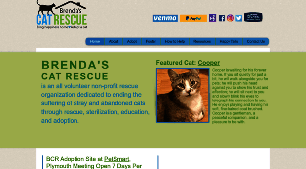 brendascatrescue.org