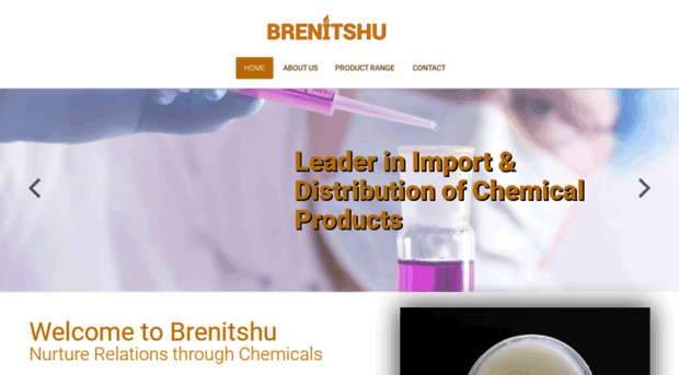 brenitshu.com