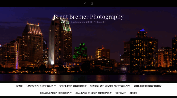 brentbremer.com