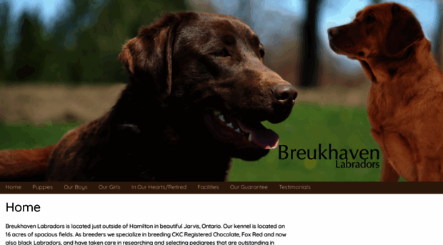 breukhaven.com