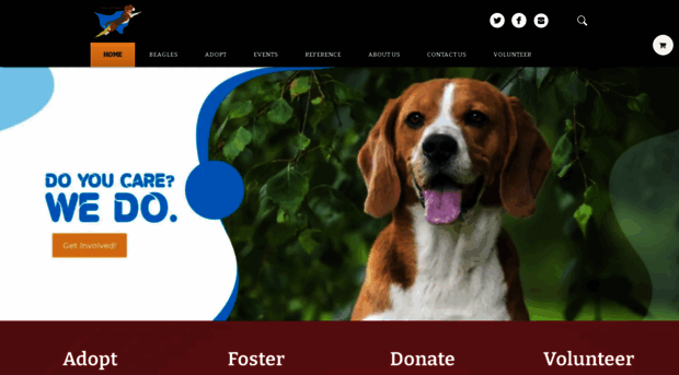 brewbeagles.org