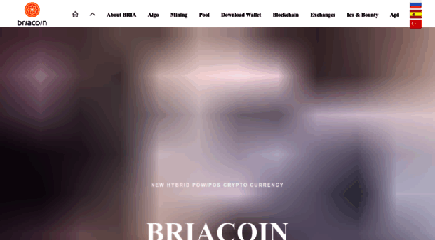 briacoin.com