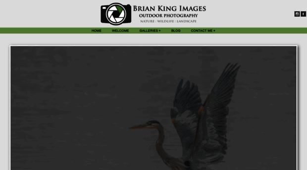 briankingimages.com