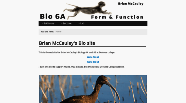 brianmccauley.net