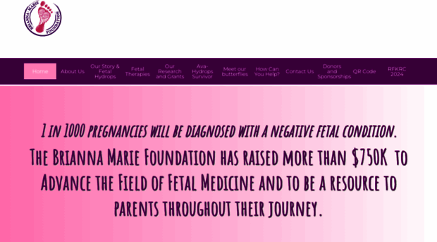 briannamariefoundation.com