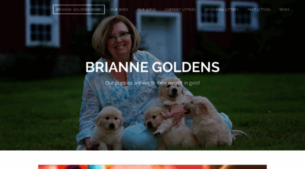 briannegoldens.com