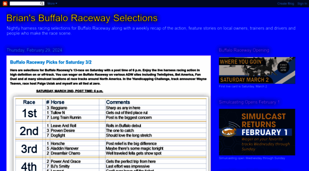 briansbuffaloracewayselections.blogspot.com
