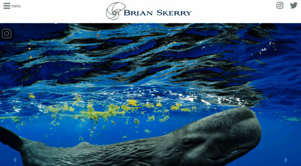 brianskerry.com