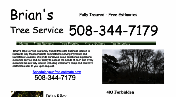 brianstreeservice.net