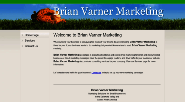 brianvarnermarketing.com