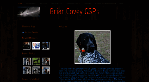 briarcoveygsp.com