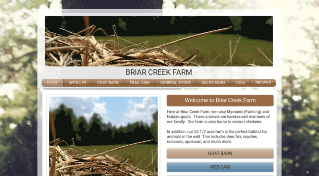 briarcreek.farm